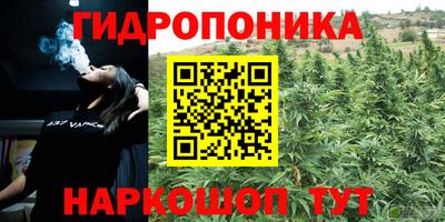 гидропоника Камышлов