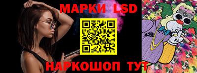 гидропоника Камышлов