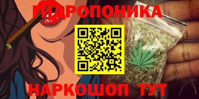 молекула духа Кандалакша