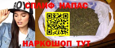 гидропоника Камышлов