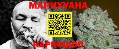гидропоника Камышлов